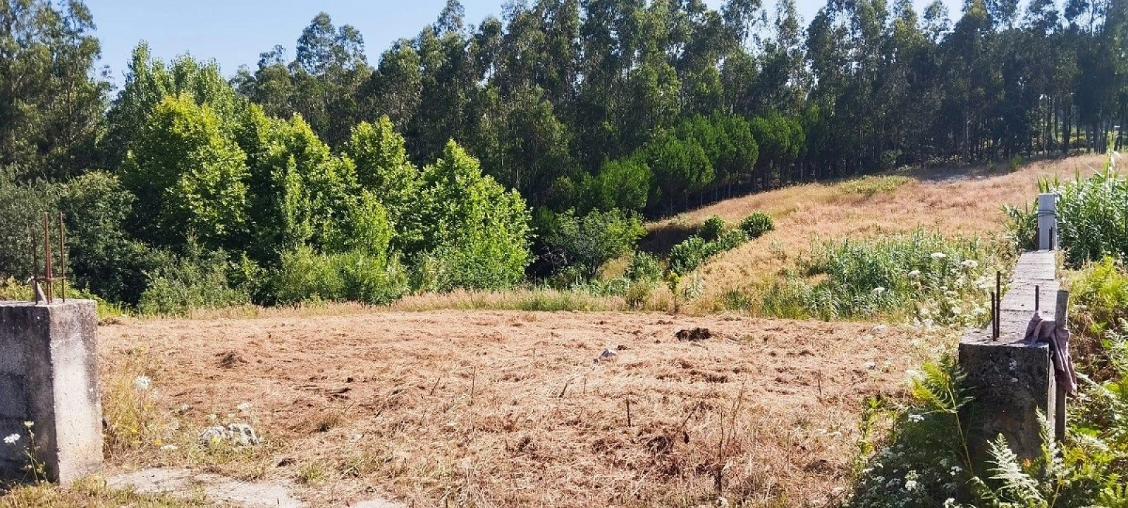Terreno para Venda em Souto da Carpalhosa e Ortigosa Foto 12