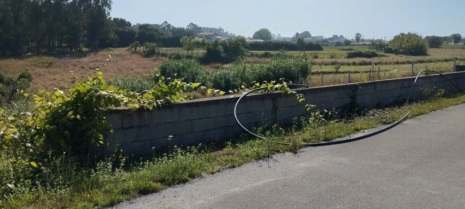 Terreno para Venda em Souto da Carpalhosa e Ortigosa Foto 1
