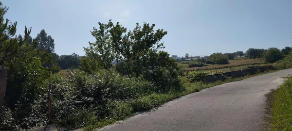 Terreno para Venda em Souto da Carpalhosa e Ortigosa