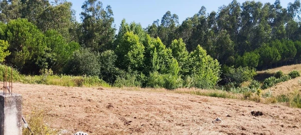 Terreno para Venda em Souto da Carpalhosa e Ortigosa