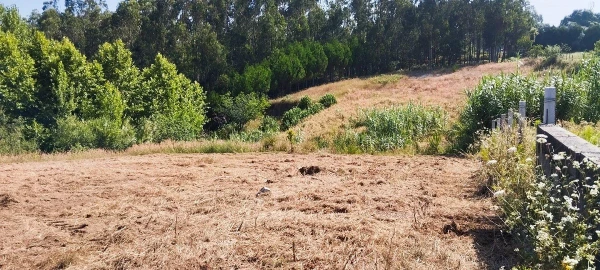 Terreno para Venda em Souto da Carpalhosa e Ortigosa