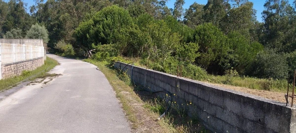 Terreno para Venda em Souto da Carpalhosa e Ortigosa