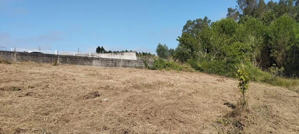 Terreno para Venda em Souto da Carpalhosa e Ortigosa