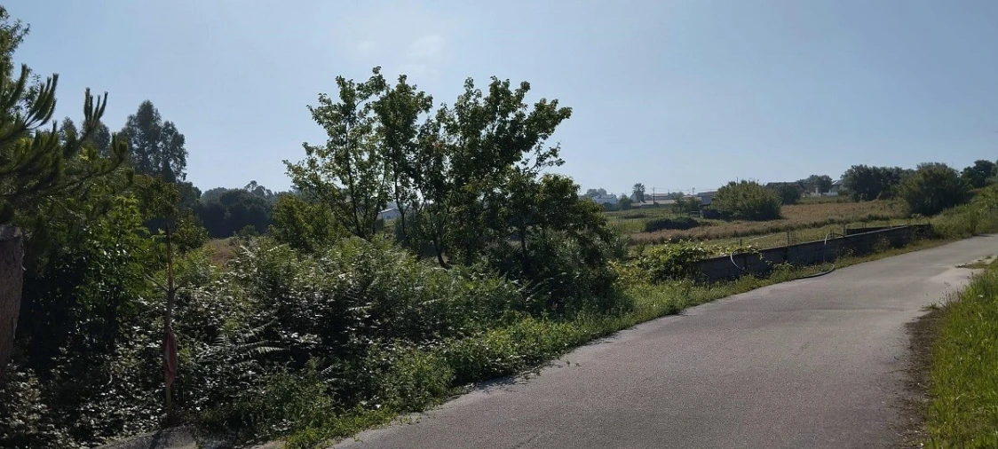 Terreno para Venda em Souto da Carpalhosa e Ortigosa Foto 8