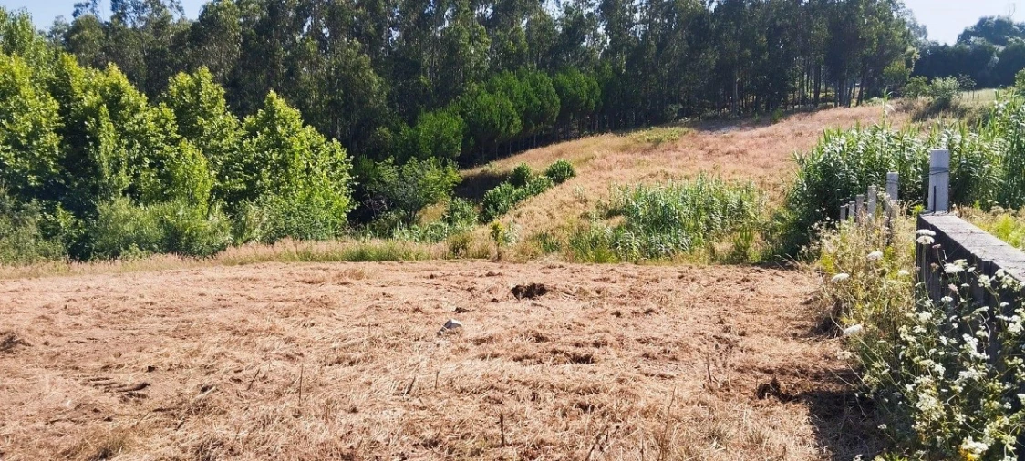 Terreno para Venda em Souto da Carpalhosa e Ortigosa Foto 10