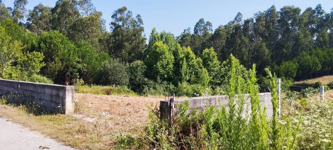Terreno para Venda em Souto da Carpalhosa e Ortigosa Foto 11