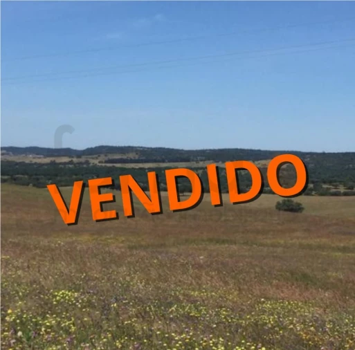 Terreno para Venda em São Cristovão