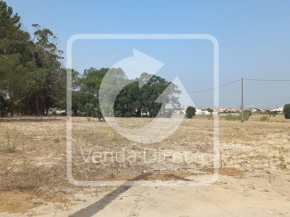 Terreno para Venda em Montijo e Afonsoeiro Foto 6