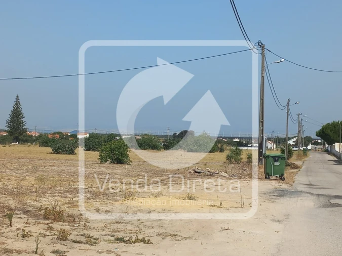 Terreno para Venda em Montijo e Afonsoeiro Foto 5