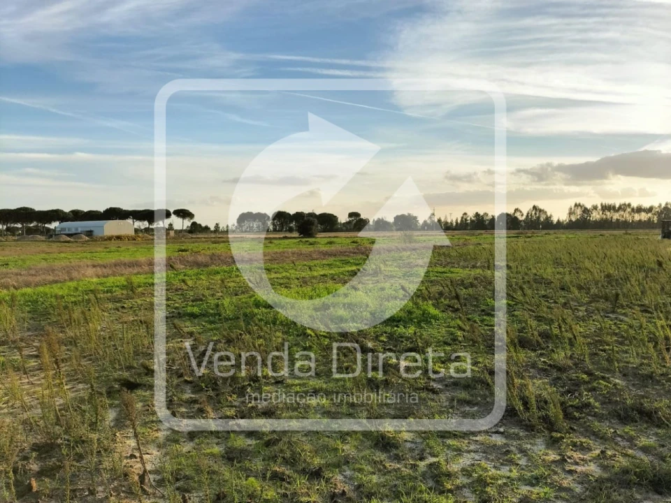 Terreno para Venda em Canha Foto 2