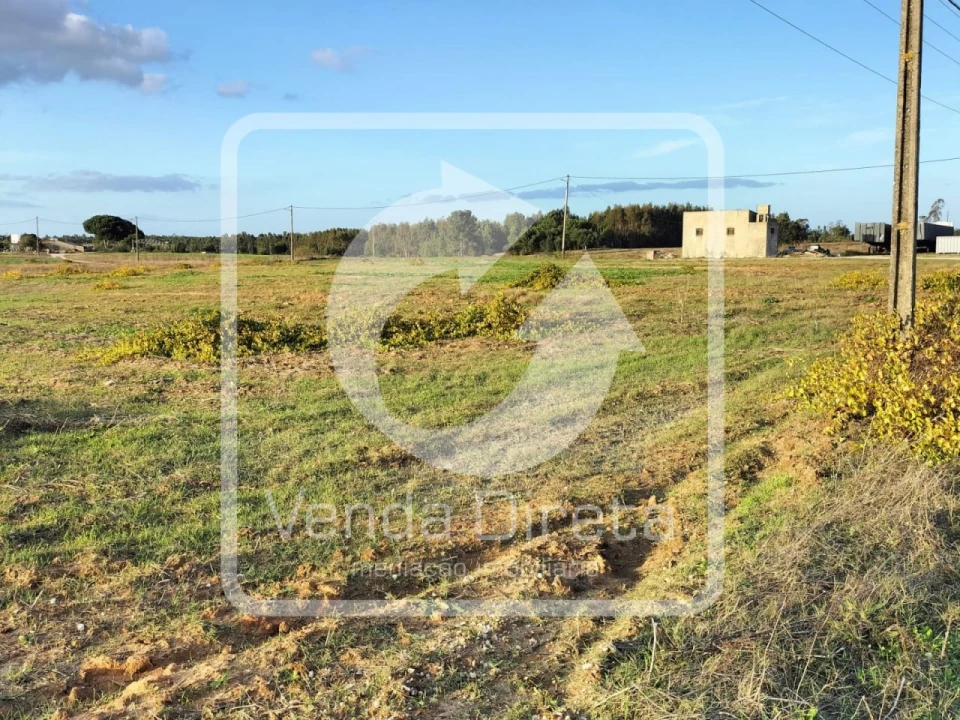 Terreno para Venda em Canha Foto 7