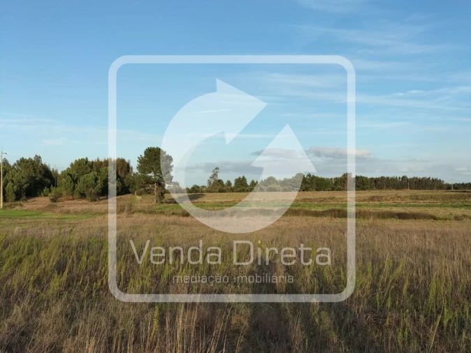 Terreno para Venda em Canha Foto 3