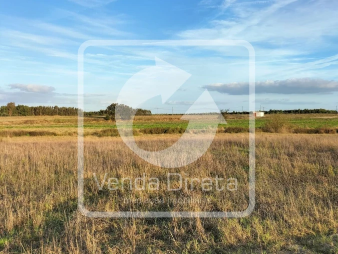 Terreno para Venda em Canha Foto 4