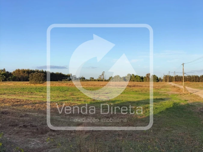 Terreno para Venda em Canha Foto 12