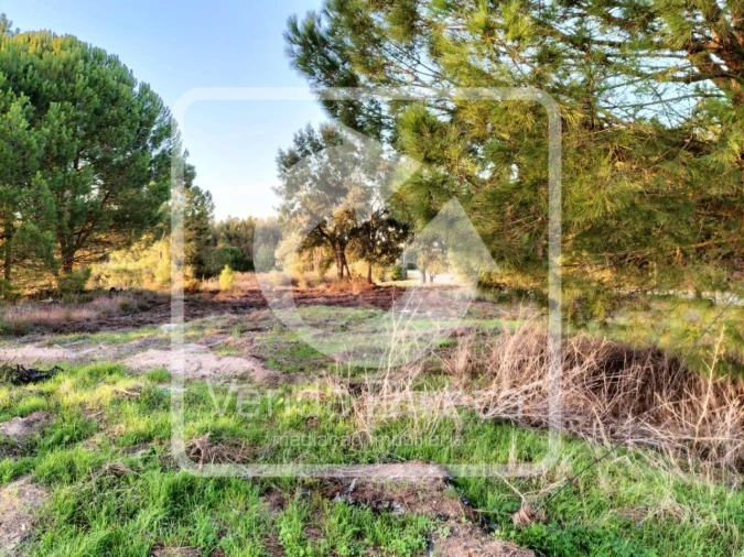 Terreno para Venda em Canha Foto 13