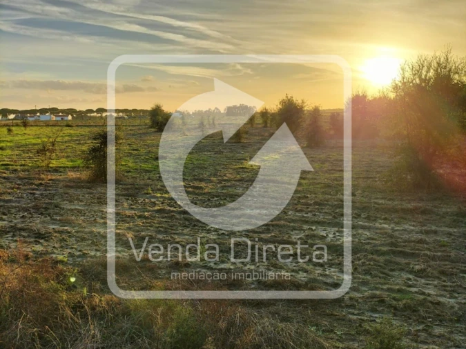 Terreno para Venda em Canha Foto 17