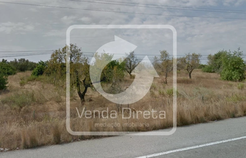 Terreno para Venda em Tavira (Santa Maria e Santiago) Foto 4