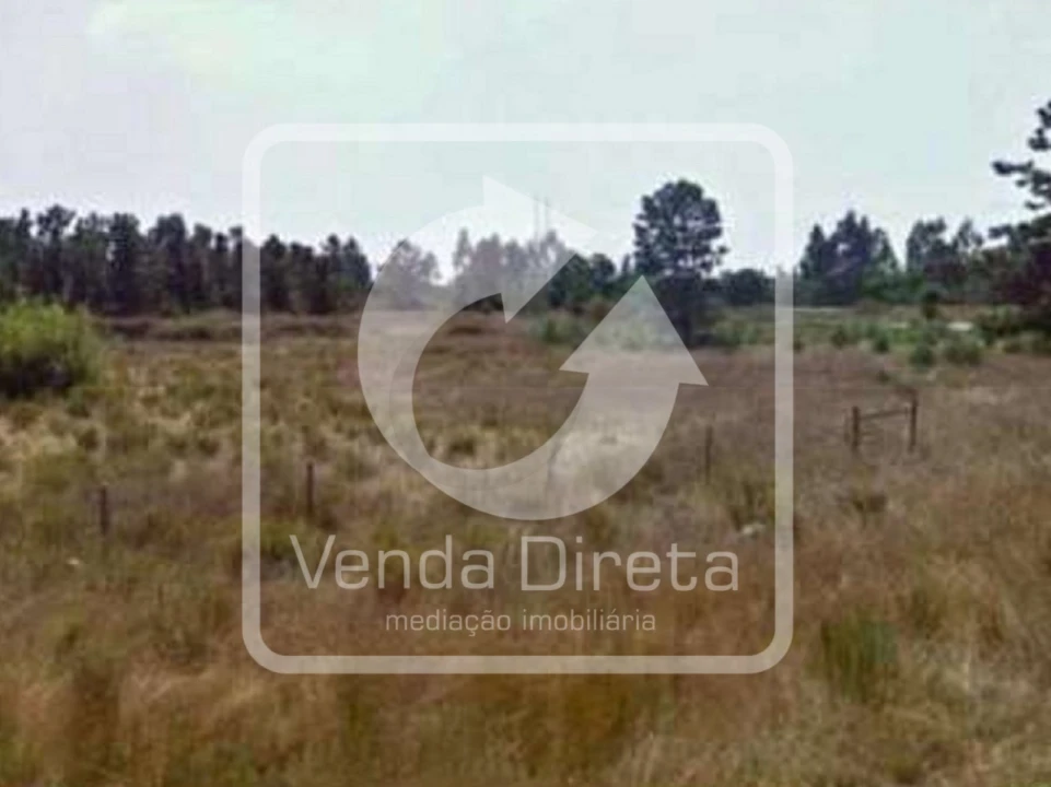 Terreno para Venda em Pegões Foto 2