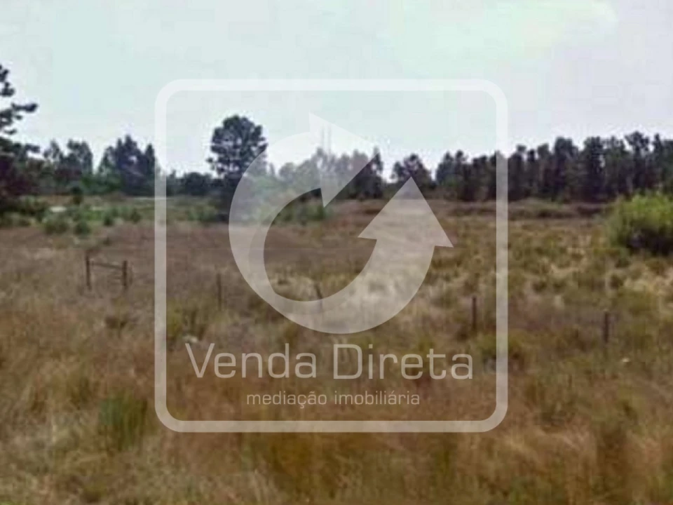 Terreno para Venda em Pegões Foto 4