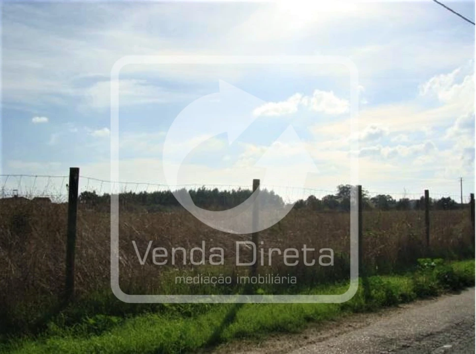 Terreno para Venda em Montijo e Afonsoeiro Foto 10