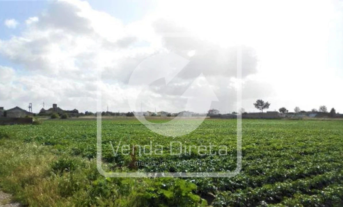 Terreno para Venda em Montijo e Afonsoeiro Foto 4