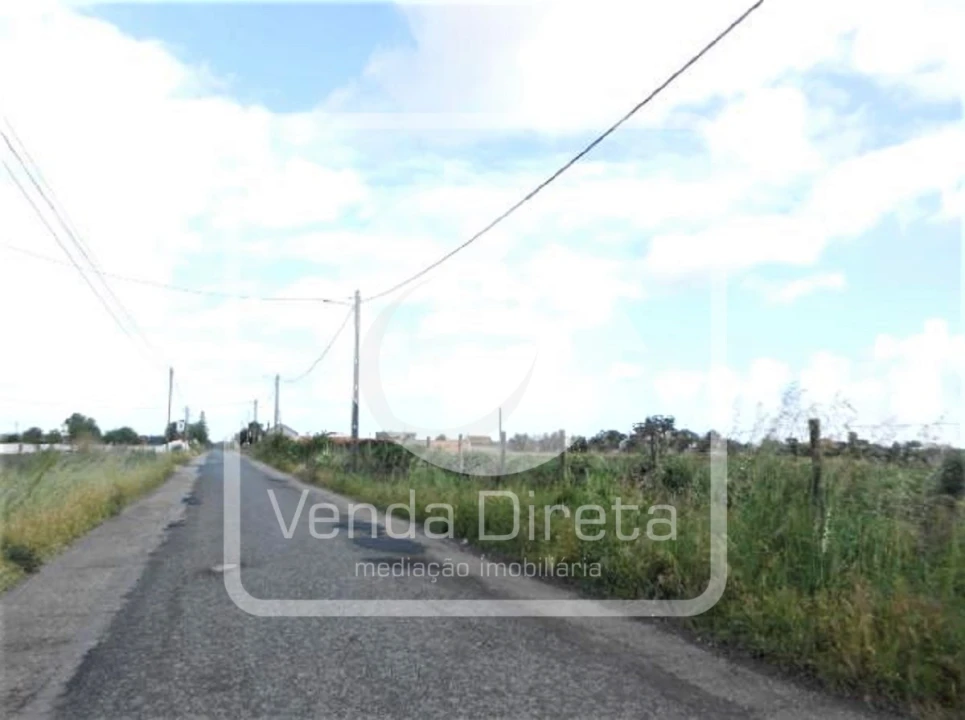 Terreno para Venda em Montijo e Afonsoeiro Foto 11