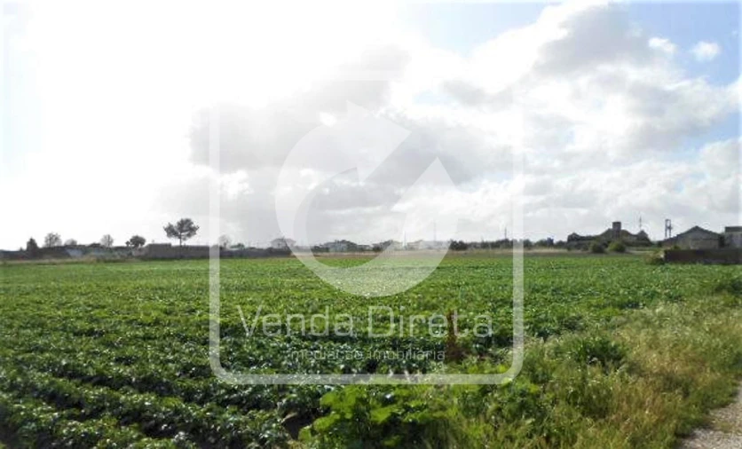 Terreno para Venda em Montijo e Afonsoeiro Foto 6