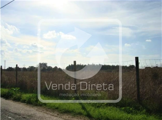 Terreno para Venda em Montijo e Afonsoeiro Foto 8