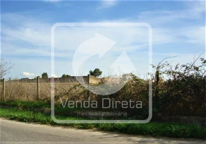 Terreno para Venda em Montijo e Afonsoeiro Foto 5