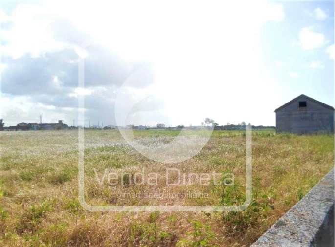 Terreno para Venda em Montijo e Afonsoeiro Foto 2