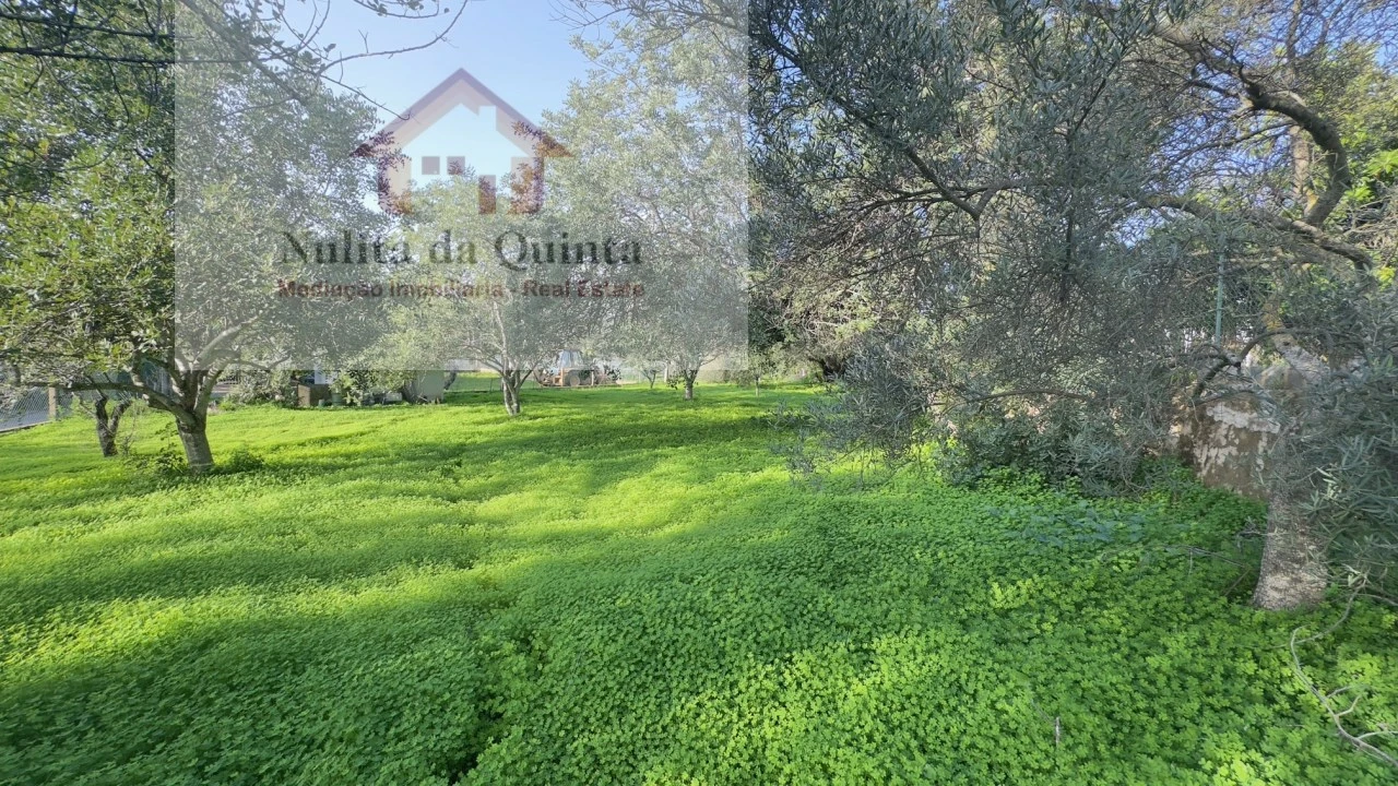 Terreno para Venda em Loule (São Clemente) Foto 2