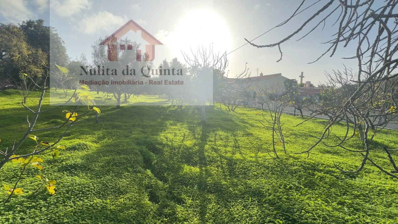 Terreno para Venda em Loule (São Clemente) Foto 5