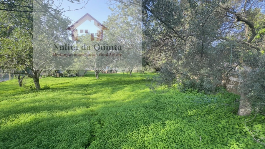 Terreno para Venda em Loule (São Clemente) Foto 2