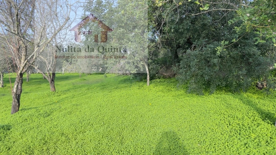 Terreno para Venda em Loule (São Clemente) Foto 3