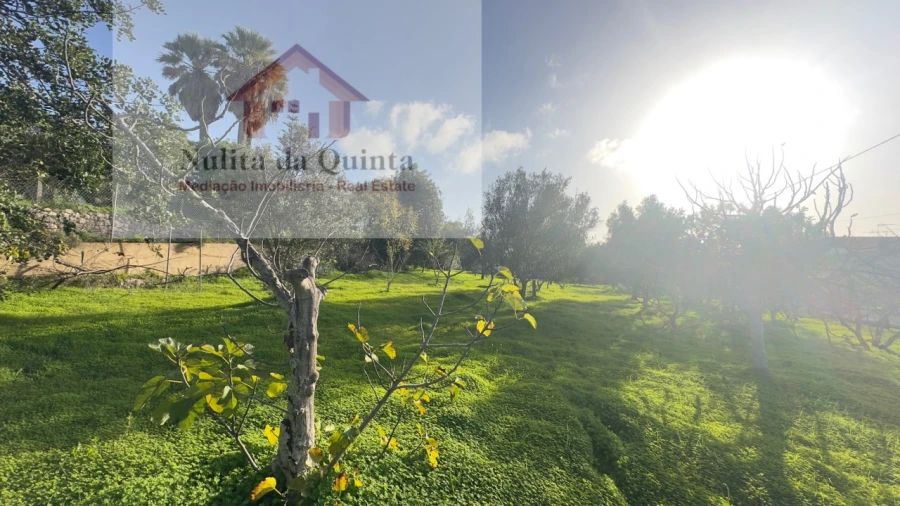 Terreno para Venda em Loule (São Clemente) Foto 4