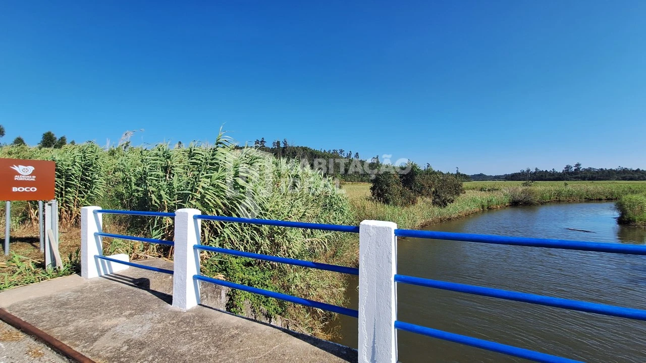 Terreno para Venda em Soza Foto 11
