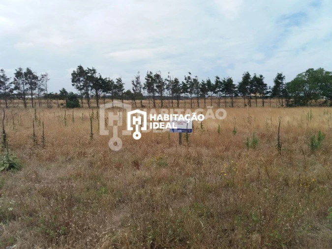 Terreno para Venda em Gafanha da Boa Hora Foto 2