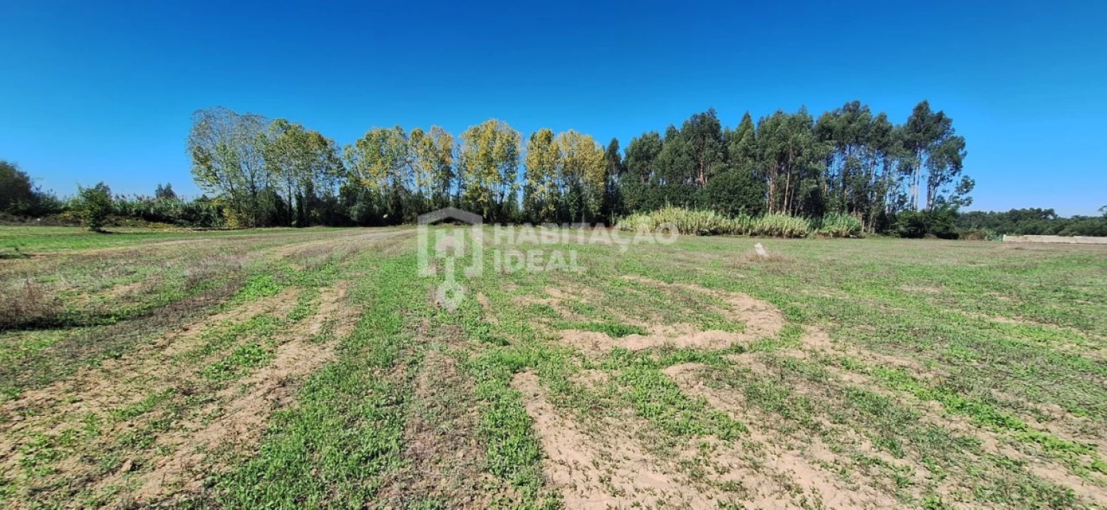 Terreno para Venda em Soza Foto 1
