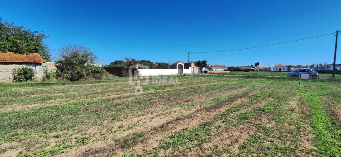 Terreno para Venda em Soza Foto 3