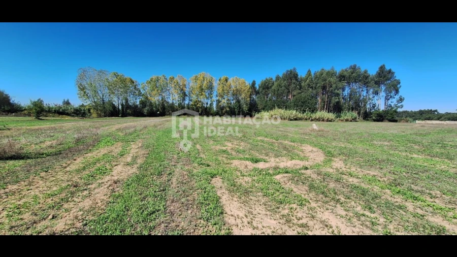 Terreno para Venda em Soza