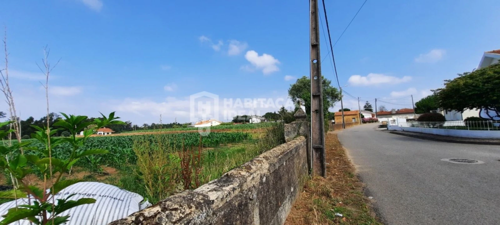 Terreno para Venda em Oiã Foto 2