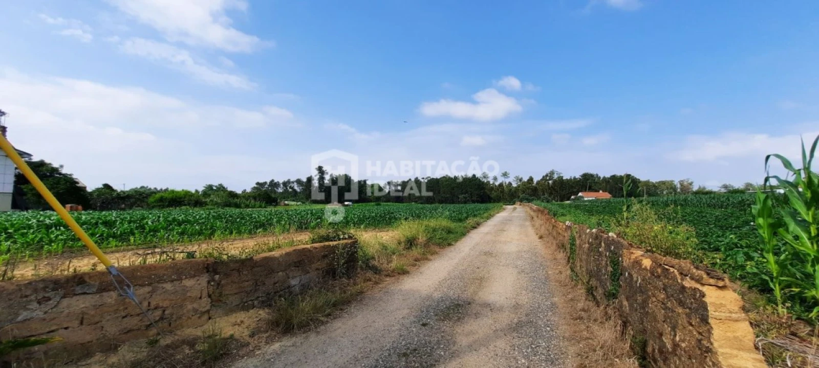 Terreno para Venda em Oiã Foto 3