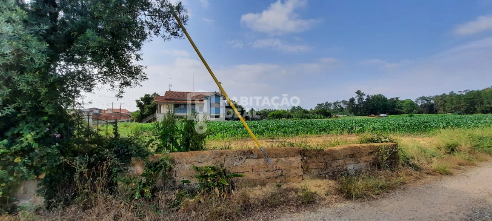 Terreno para Venda em Oiã Foto 4