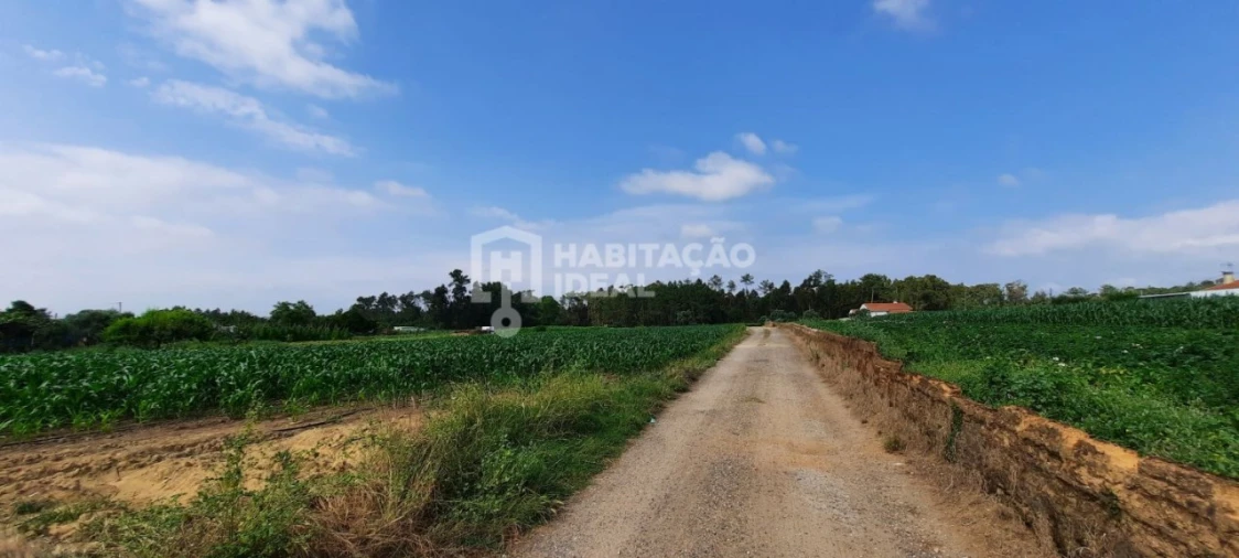 Terreno para Venda em Oiã Foto 6
