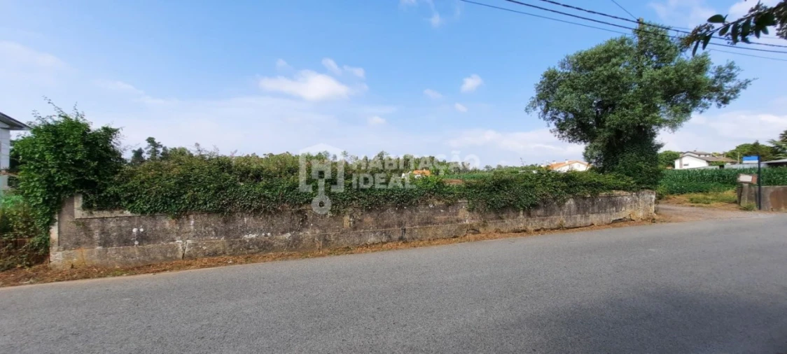 Terreno para Venda em Oiã Foto 7