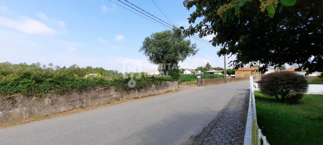 Terreno para Venda em Oiã Foto 8