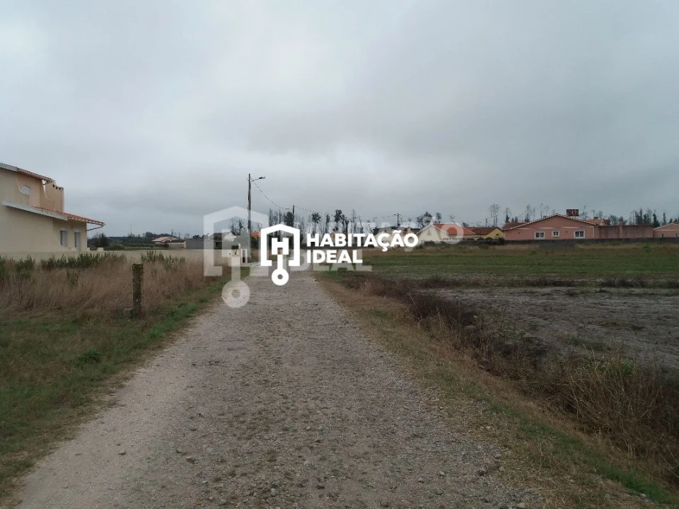 Terreno para Venda em Mira Foto 1