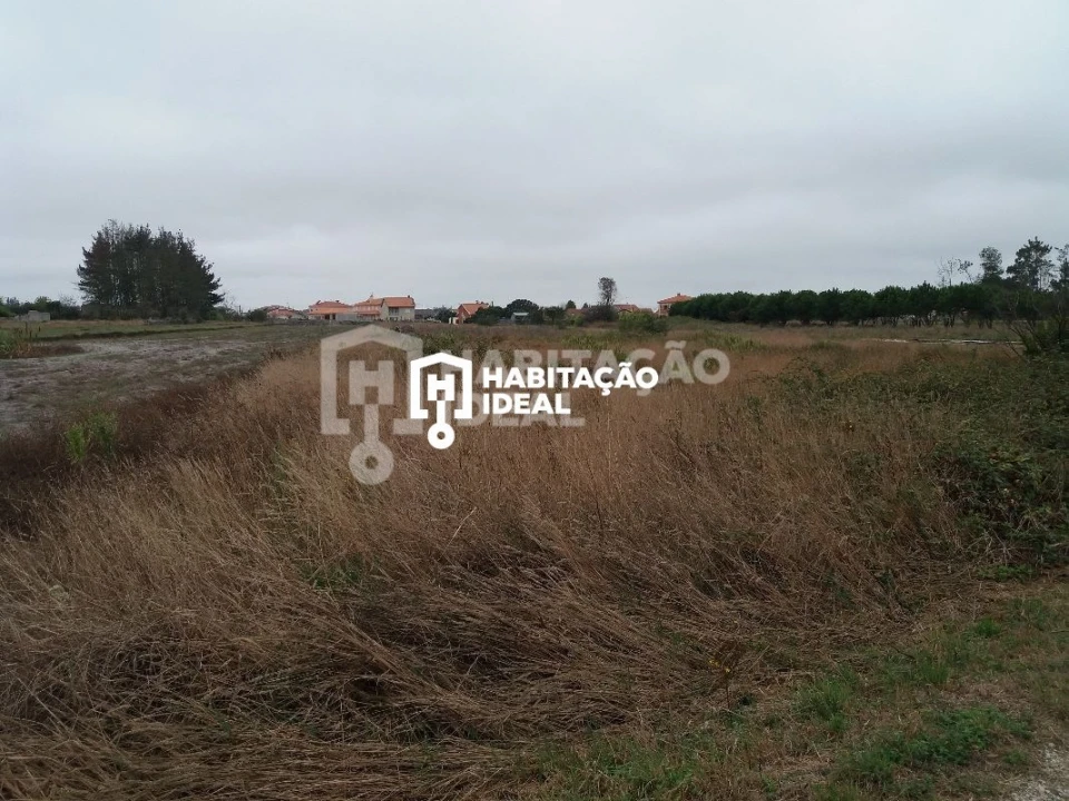 Terreno para Venda em Mira Foto 2