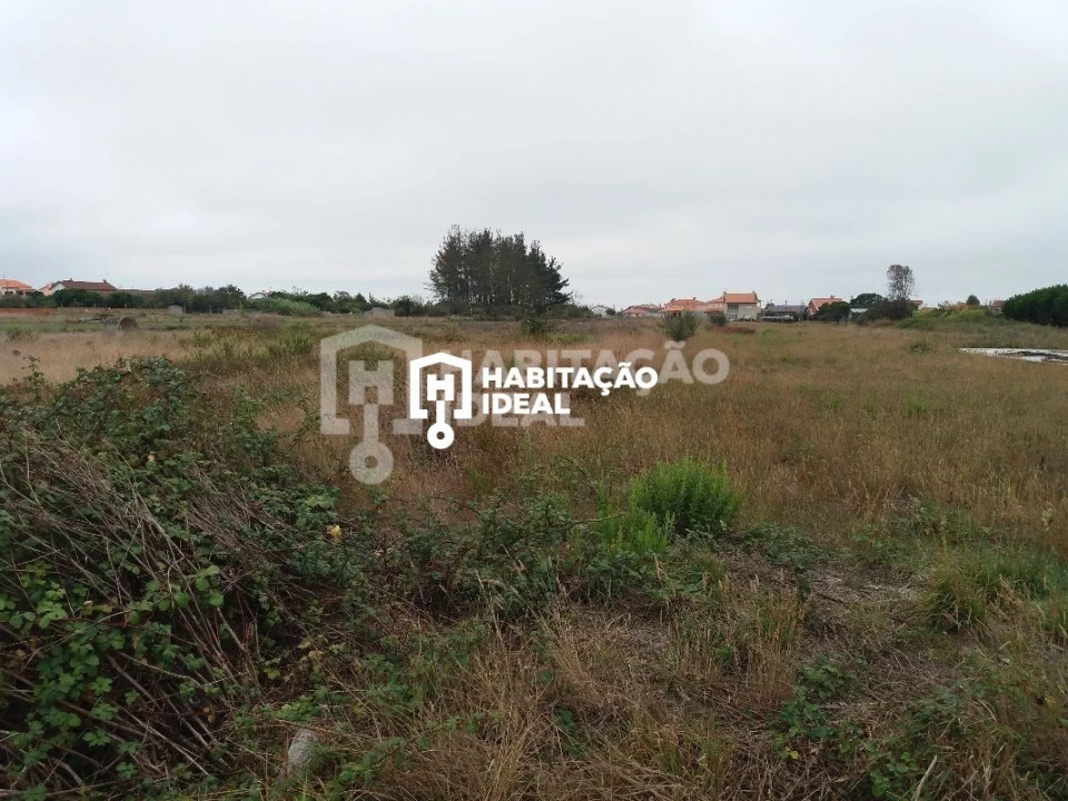 Terreno para Venda em Mira Foto 3