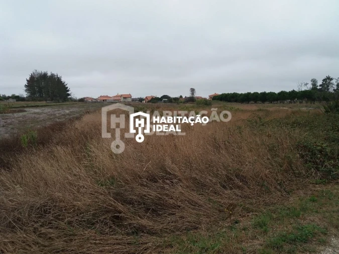 Terreno para Venda em Mira Foto 2